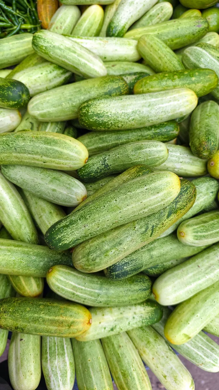 A heap of short ridged Persian cucumbers