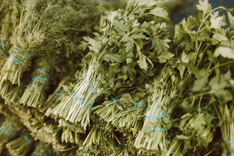 Tied bunches of fresh green herbs stacked at a market